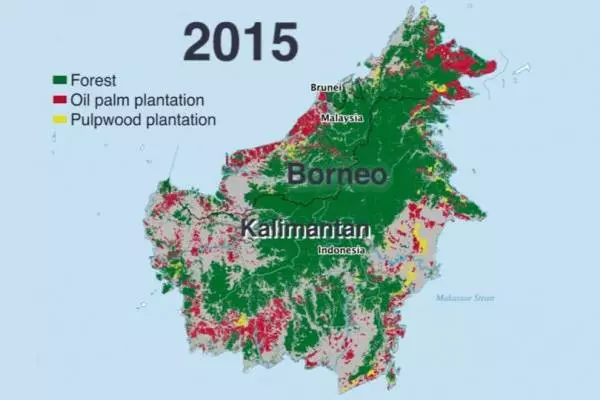 экономика и леса острова Борнео Калимантан