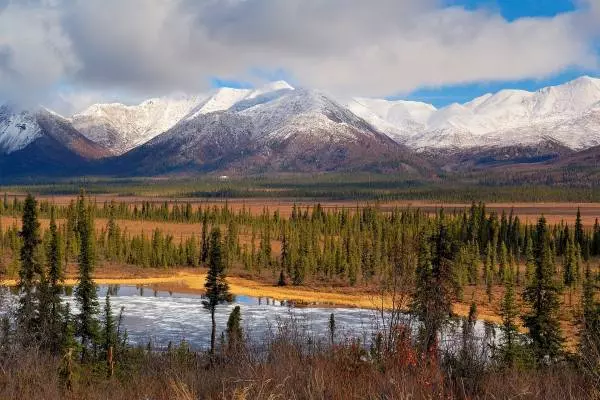 заповедник национальный парк в Аляске