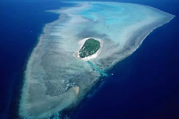 зеленый остров в Большом Барьерном рифе