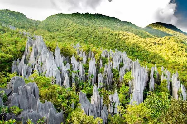 национальный парк в Борнео