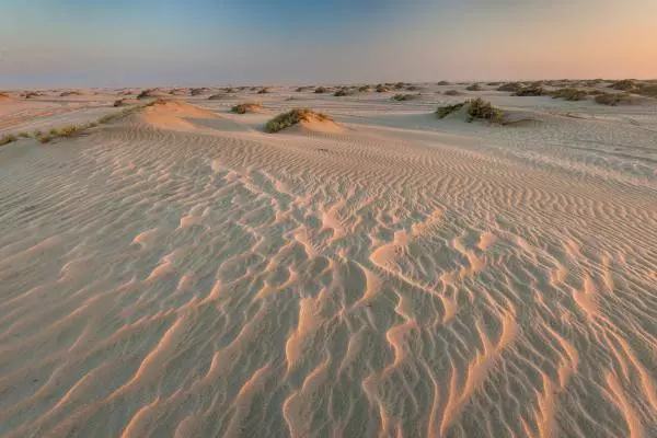 типичная пустыня