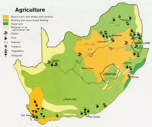 сельское хозяйство в южной африке